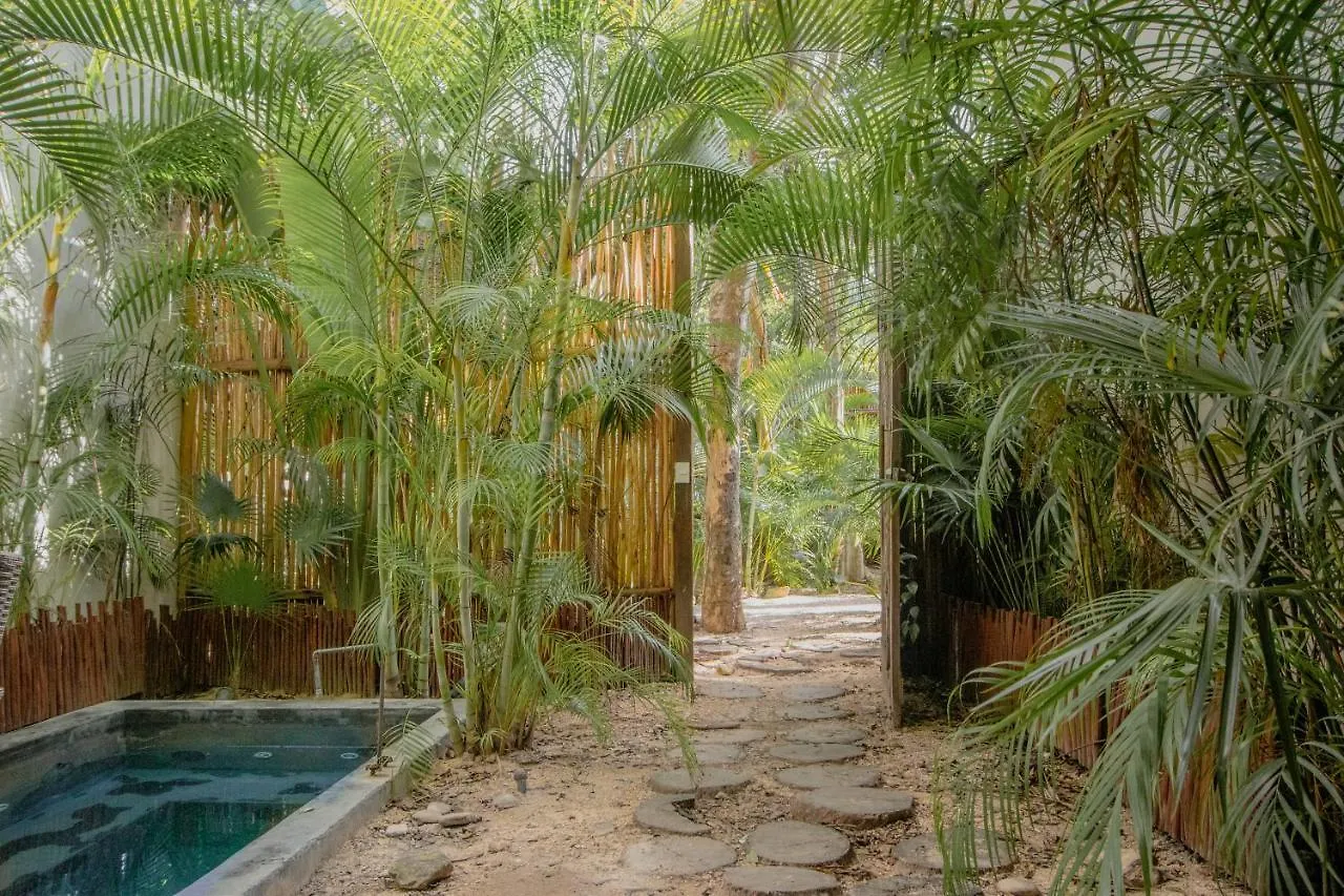 Ideal 4 Groups Aldeazama 2Br 10Pax Apt Papaya Playa Tulum 0*,  Mexico